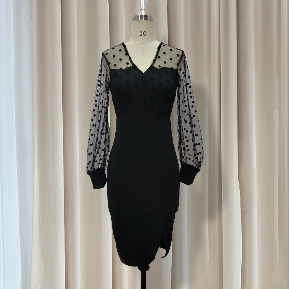 Women Sheer Long Sleeves Polka Dot Bodycon  Office Dress